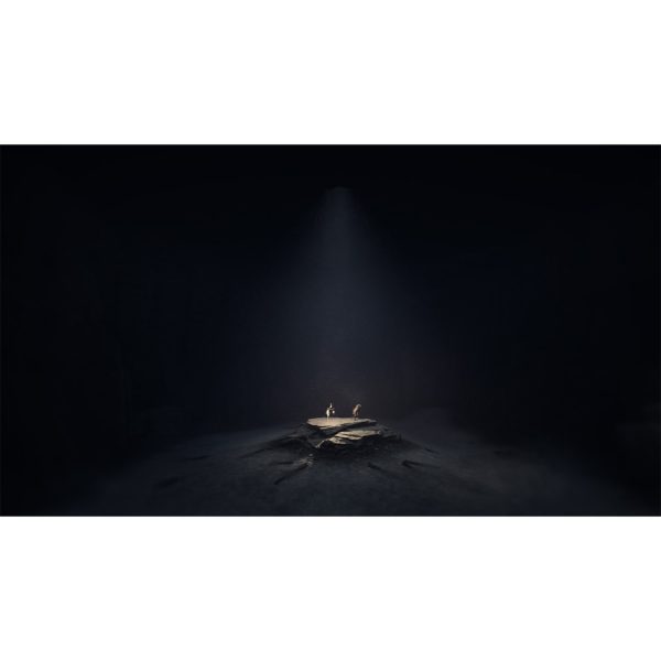 Reanimal - Image 10