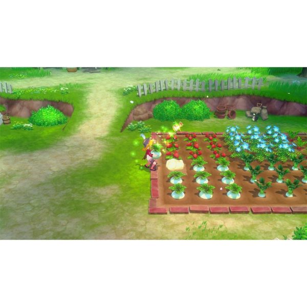 STORY OF SEASONS Grand Bazaar - Nintendo Switch 2 Edition - Image 3