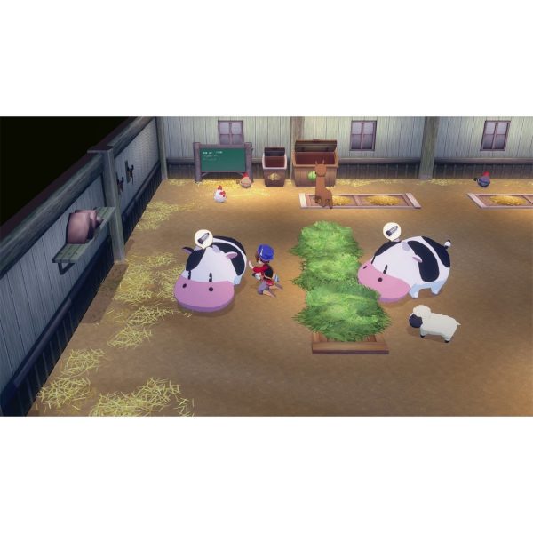 STORY OF SEASONS Grand Bazaar - Nintendo Switch 2 Edition - Image 2